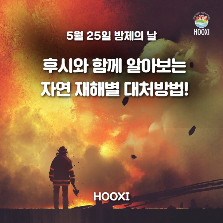  방재의 날, 후시와 함께 알아보는 자연재해별 대처법!