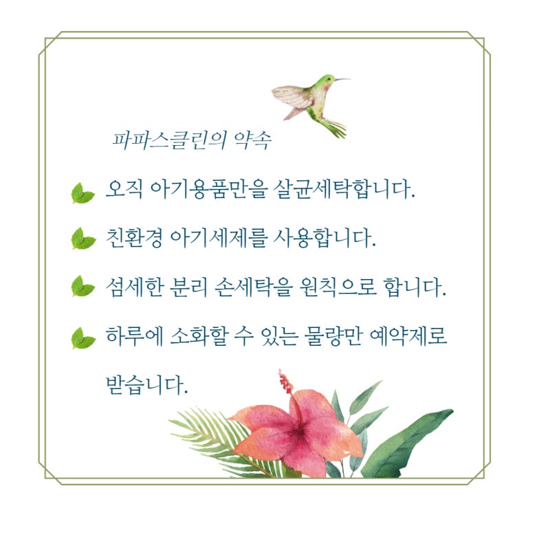 파파스클린 이미지