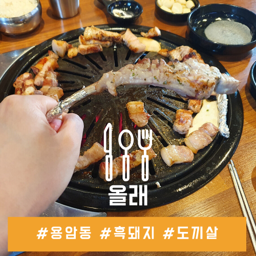 청주 용암동 맛집 흑돼지 육즙이 입안 가득, 올래 청주 용암동 맛집 흑돼지 육즙이 입안 가득, 올래