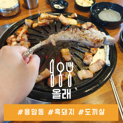 청주 용암동 맛집 흑돼지 육즙이 입안 가득, 올래