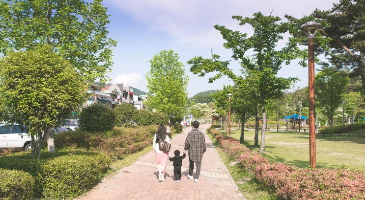  순천 가볼만한곳 이였던 순천만 국가정원 여름에가면 짜증납니다