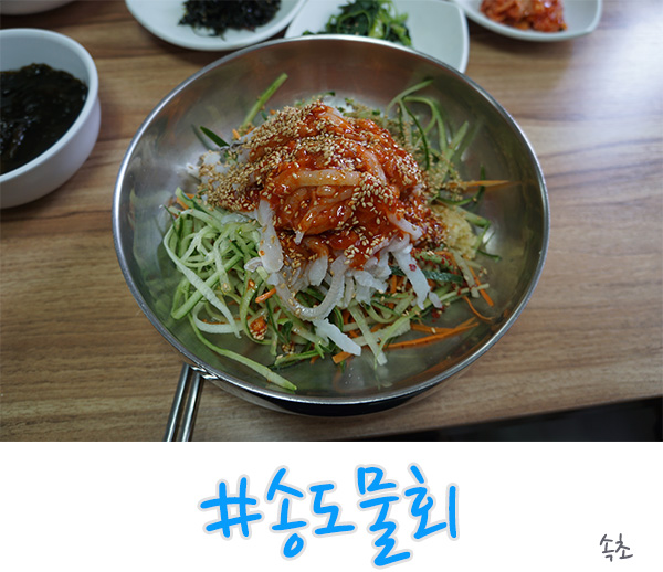  속초 가자미 물회 전문 음식점 - 송도물회