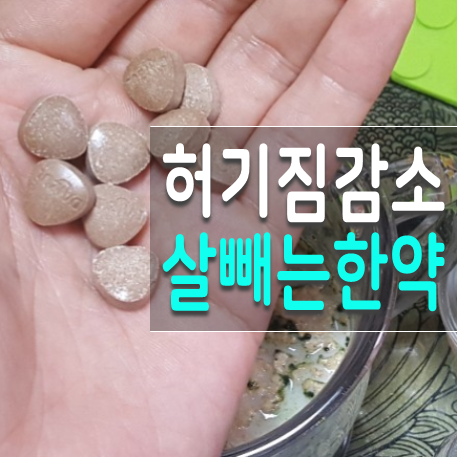  식욕억제제종류 살빼는 한약 다다정 7일 후기