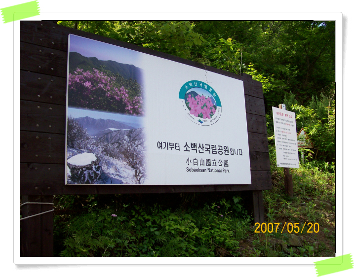  부드러운 어머니의 품(소백산)
