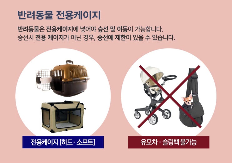 강아지 동반 서울~제주 여행 준비 - 목포항 완도항 배편 & 차량 요금 비교