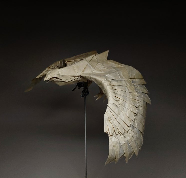  Nguyen Hung Cuong - Eagle