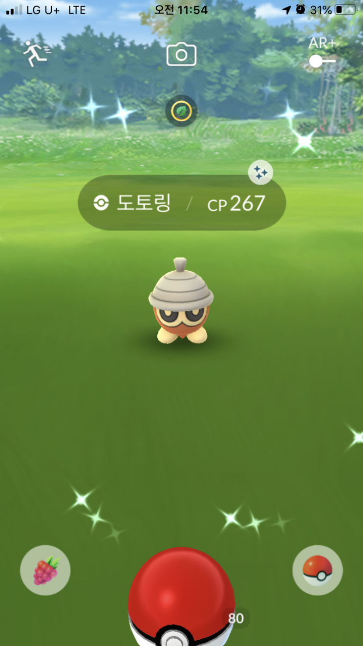  도토링 이로치