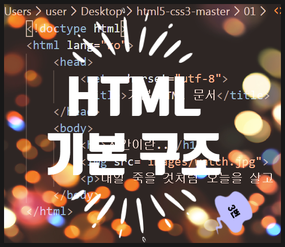 HTML5 : 문서 기본 구조 살펴보기, 특수문자넣기
