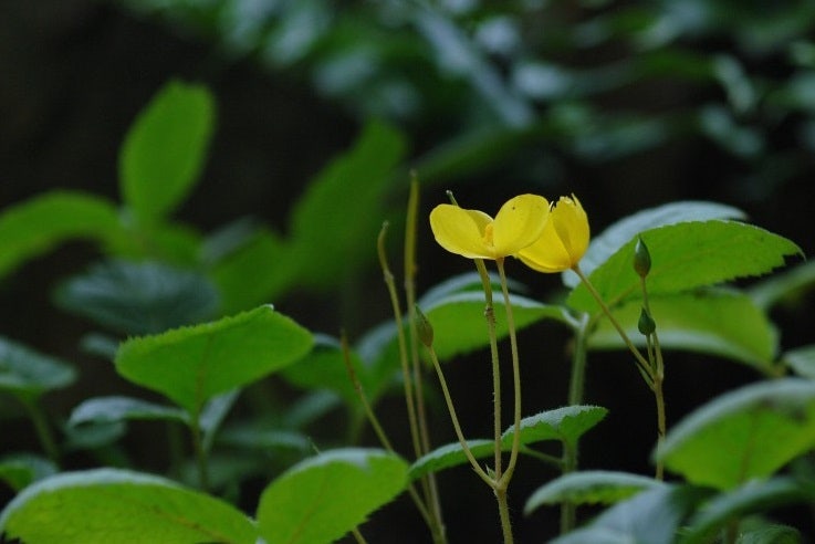 말봉산골 사진 1