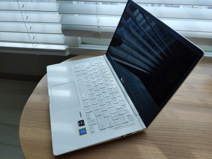  내돈내산 리뷰 LG그램 노트북 14ZD990-LX10K