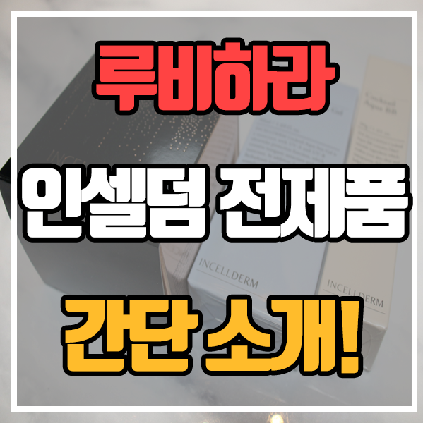  인셀덤 - 전제품 간단소개