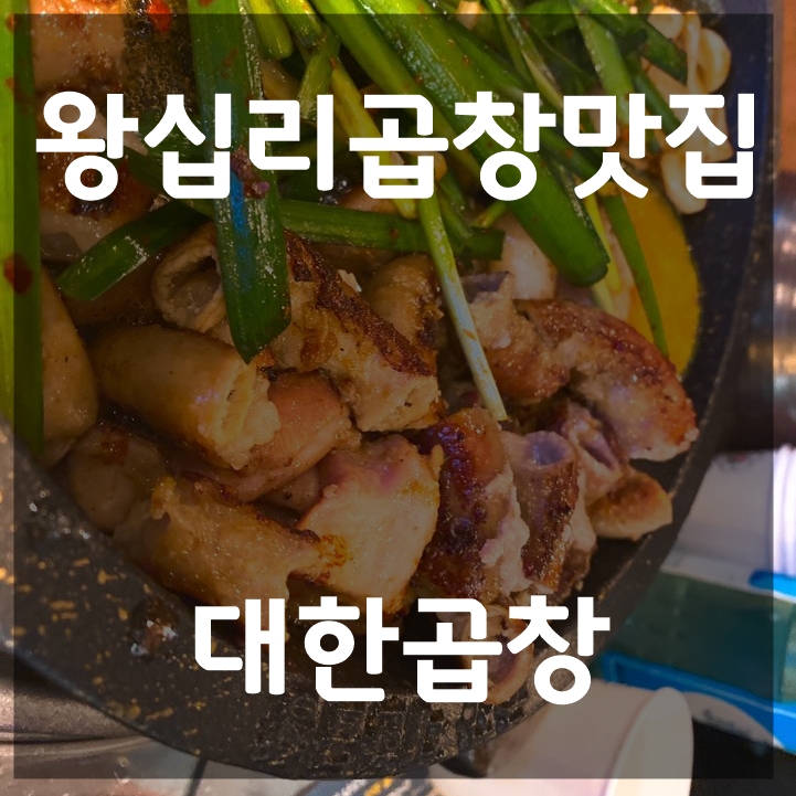  왕십리곱창맛집 대한곱창