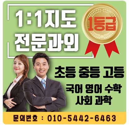  파주 초등 수학과외 초등학생 영어과외 국어 과학 유아 한글 방문수업