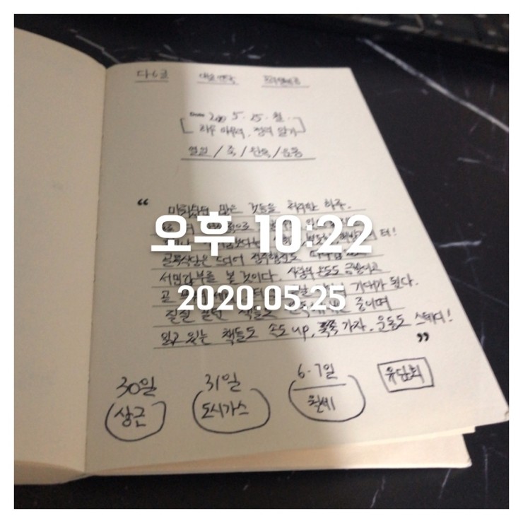 2020.05.25 (월) 일기 + 닻이으리 매일 기록 세트 2020.05.25 (월) 일기 + 닻이으리 매일 기록 세트