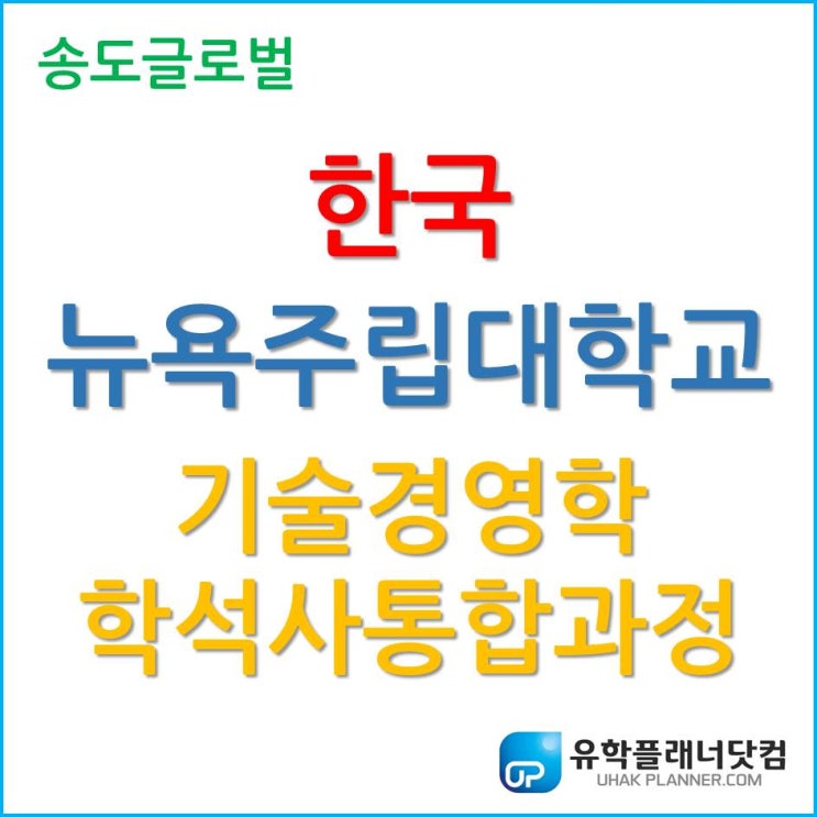  나의 최애 전공, 한국뉴욕주립대학교 기술경영학 (TSM, Technological Systems Management) 학석사 통합과정