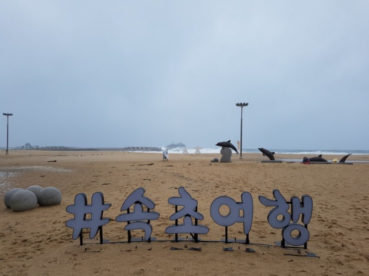  속초해수욕장(29개월 아기랑)