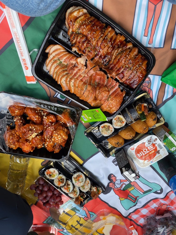  피톤치드 가득한 편백나무 숲<진북 영학임도>