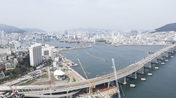 월세 계약 시 주의사항 꼭 알아야 할 꿀팁 전수