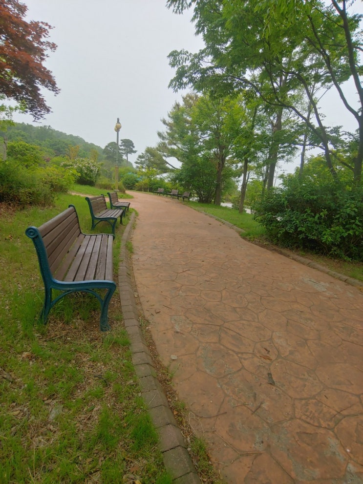 평택호 예술관과 야외 조형물 관람 주말 텐트치고 아이들과 갈만한곳 평택호 예술관과 야외 조형물 관람 주말 텐트치고 아이들과 갈만한곳