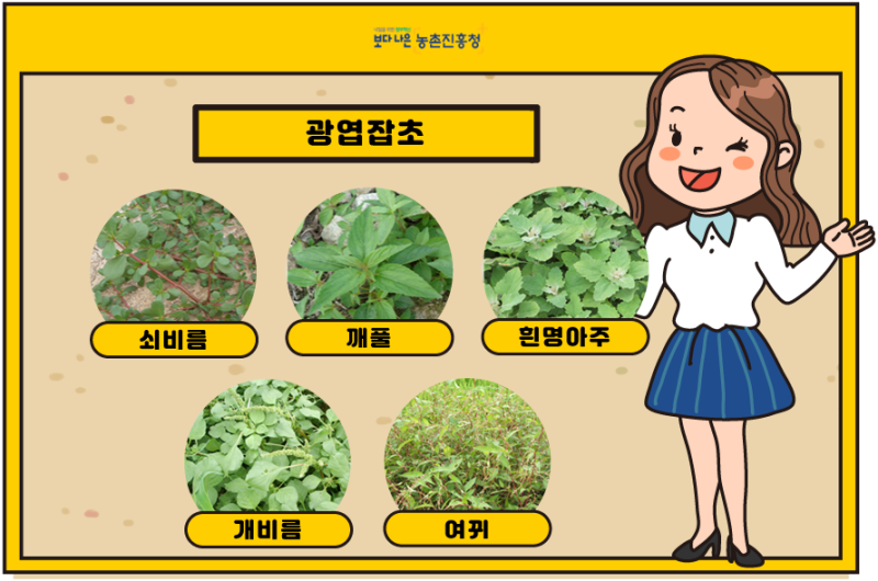잡초와의 전쟁! 이것만 기억하세요! :: 텃밭 지키는 잡초 제거 '꿀팁' : 네이버 블로그