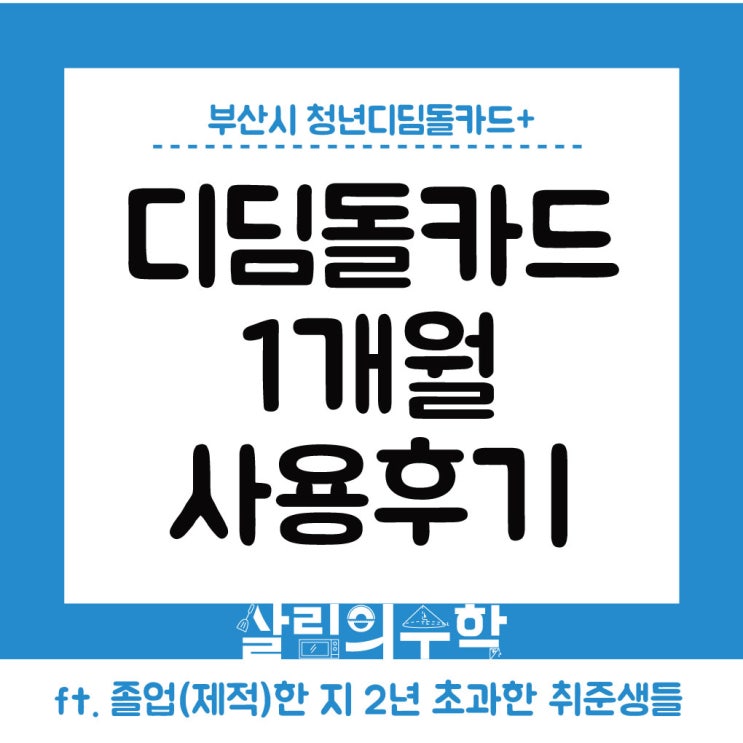  부산시 청년디딤돌카드+ 1개월 사용 후기: 주부(기혼자) 청년의 직접비, 간접비 관리