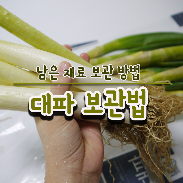  대파 보관법 알려드릴게요!