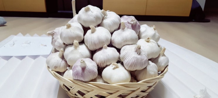  창녕 농촌 마늘양파알바 구하는 방법과 준비물을 정리해드립니다.