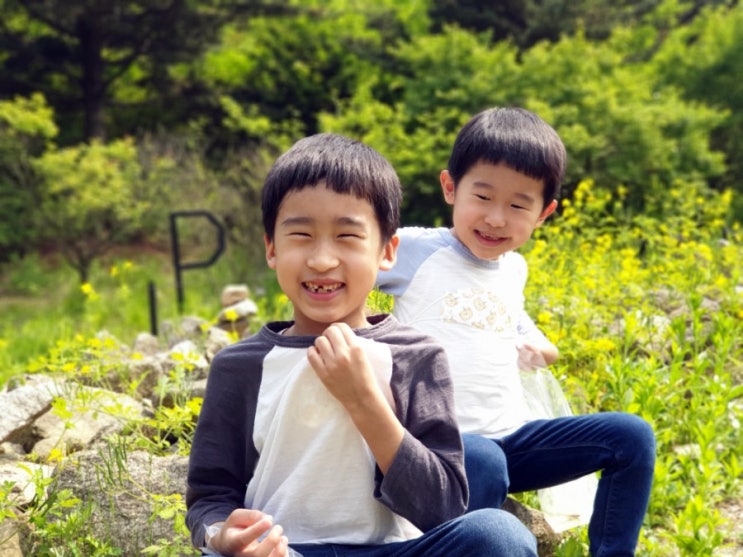 서울근교 수목원으로 아이와 슬기로운 나들이