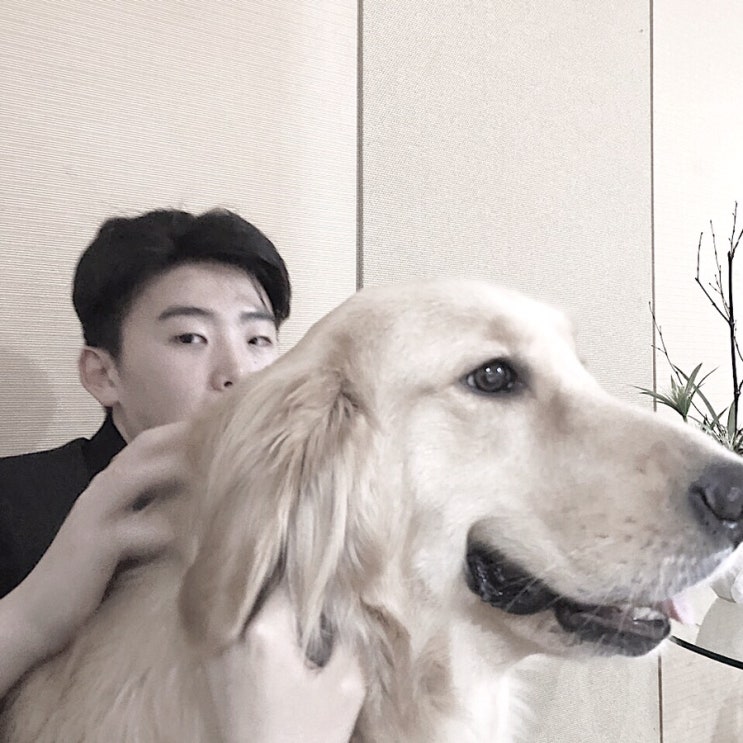  2020년 5월