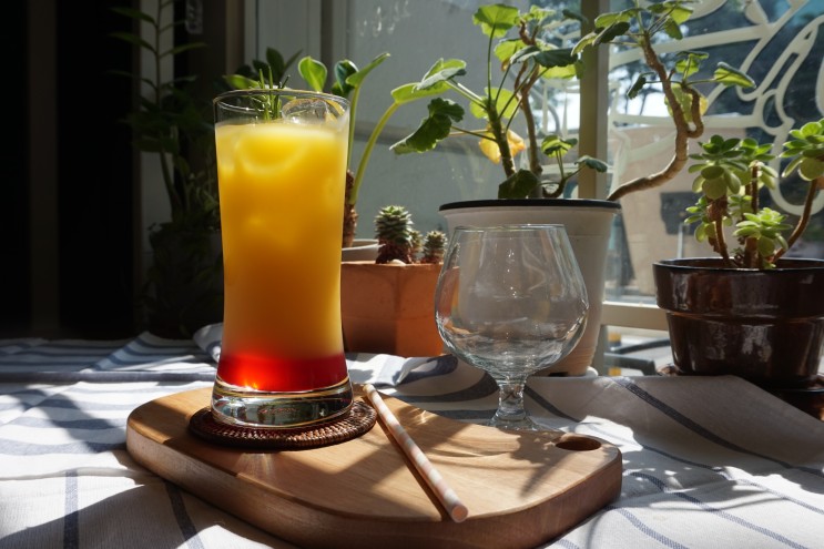 카페 음료(여름 음료) 클래스 후기