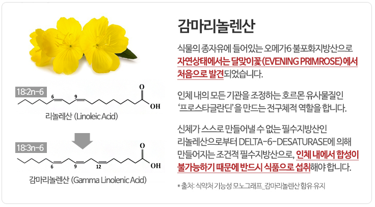 뉴트리코어 달맞이꽃 자유로 생리전 증후군에서 해방?! 6