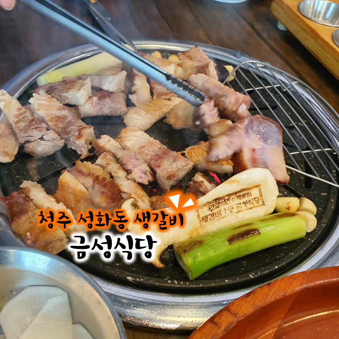  청주 생갈비 성화동 금성식당