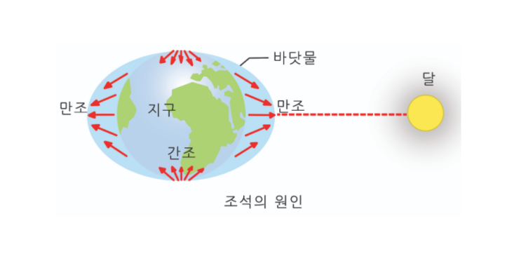  물 때에 대해서 2 (간조, 정조, 사리, 초들물은 뭐야 대체...) - 먼저 알아보자~~