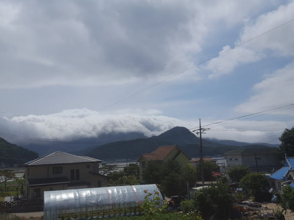  강화도 일상 [산책 예초기 작업]