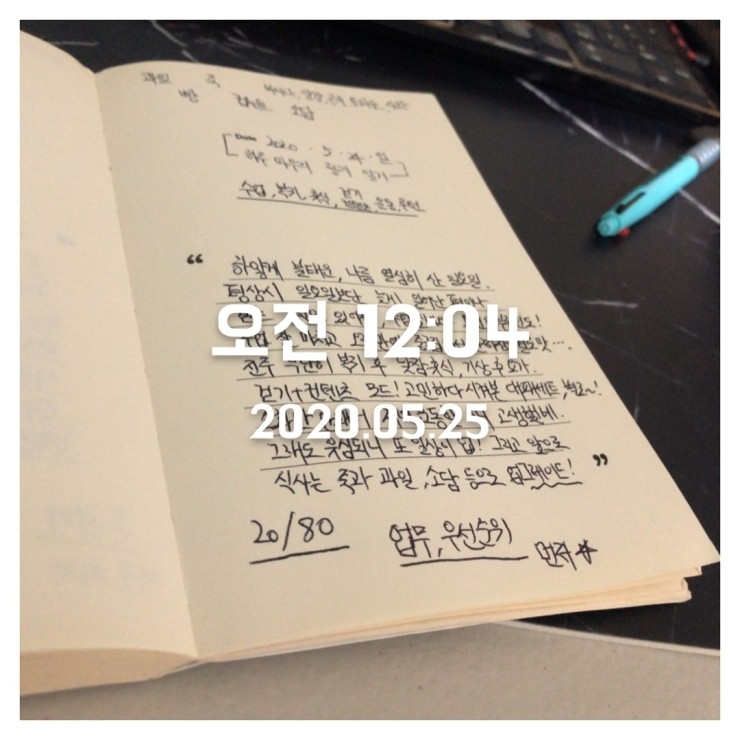 2020.05.24 (일) 저녁일기 + 닻이으리 매일 기록 세트 2020.05.24 (일) 저녁일기 + 닻이으리 매일 기록 세트