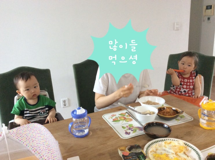 슬쌍디아빠 과거로의 산책(2010.05.25.~2018.05.25.) 육아일기 FILE 175 / 육아와 일