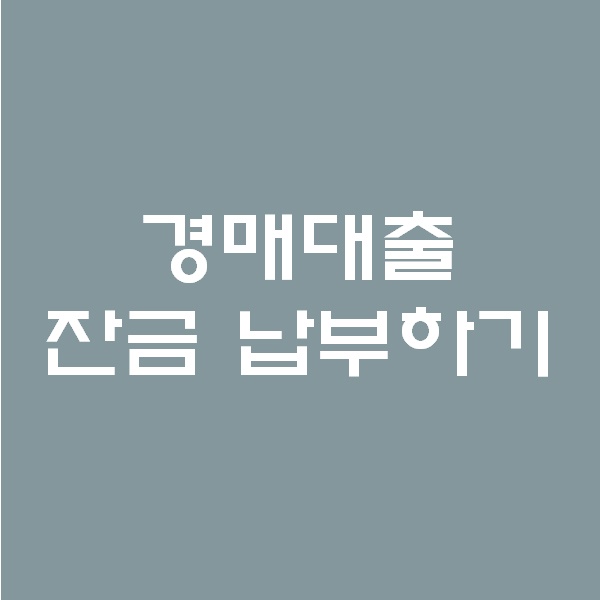  <경매 일주일이면 떠블오케이만큼 한다> - 경매 대출 잔금 납부하기 -