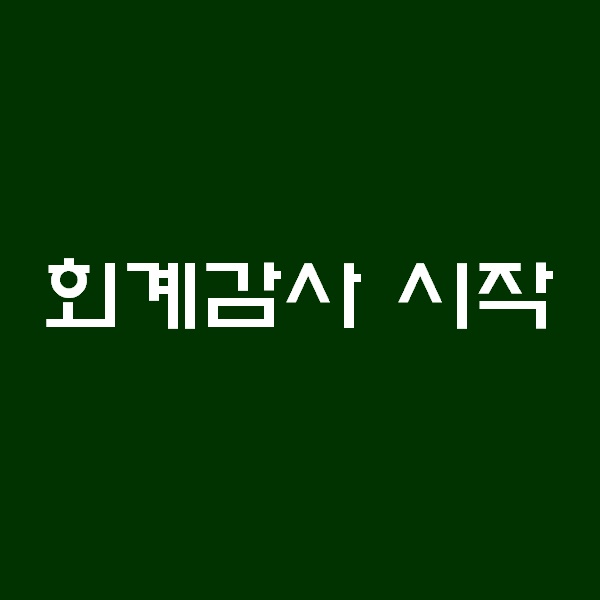  회계팀의 레이스 시작. 회계감사 시작