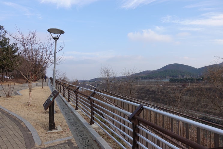  입마름 원인과 치료
