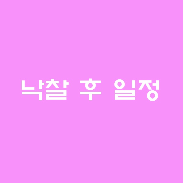  <경매 일주일이면 떠블오케이만큼 한다> - 낙찰 후 일정  -