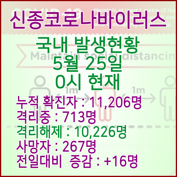  코로나19(코로나바이러스) 5월 25일 0시 국내 발병 11,206명 / 10,226명 완치 격리해제 / 사망자 267명