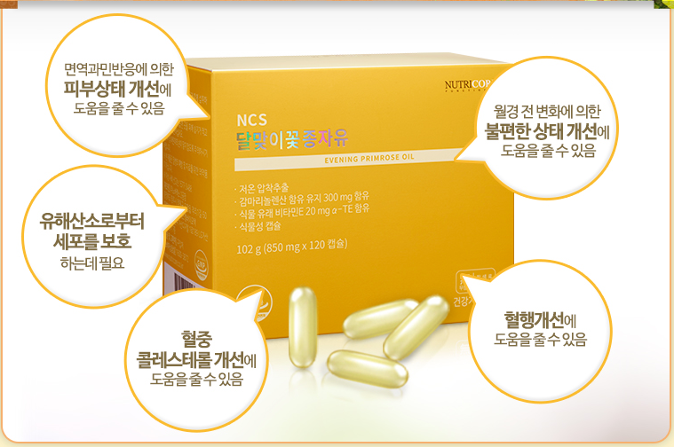 뉴트리코어 달맞이꽃 자유로 생리전 증후군에서 해방?! 1