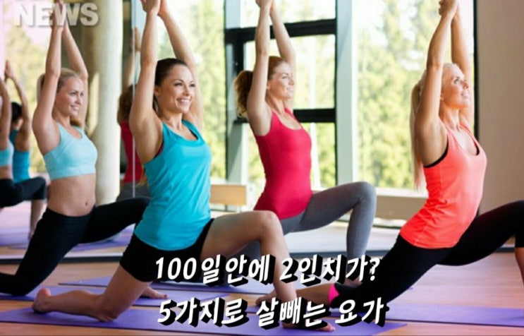 건강]100일안에 2인치가? 5가지로 살빼는 요가 방법