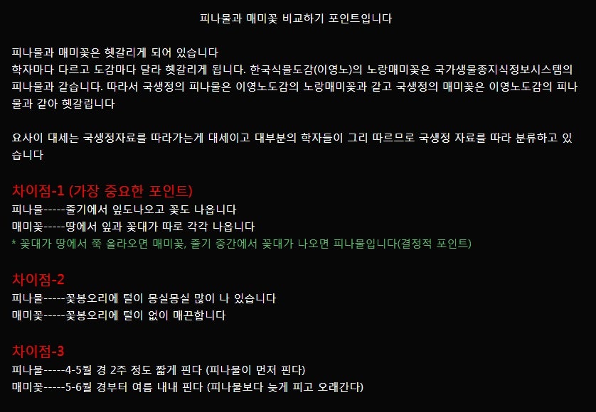 말봉산골 사진 2