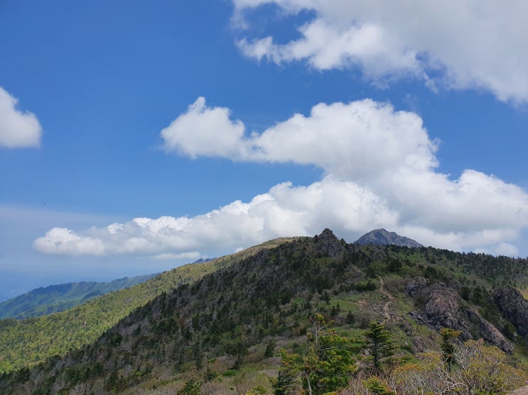  지리산 무박종주 (성삼재 노고단에서 천왕봉 중산리까지)