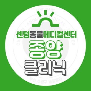  강아지 고양이 종양 전문 동물병원