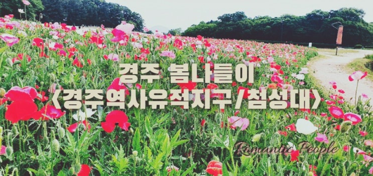 경주 봄나들이<경주역사유적지구/첨성대> 경주 봄나들이<경주역사유적지구/첨성대>