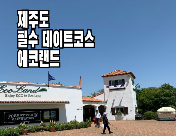  제주도 필수코스 에코랜드 좋은 추억과 예쁜 사진들을 건질 수 있어요