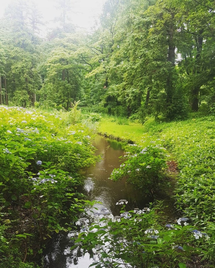  [도쿄] 진다이식물공원(神代植物公園)