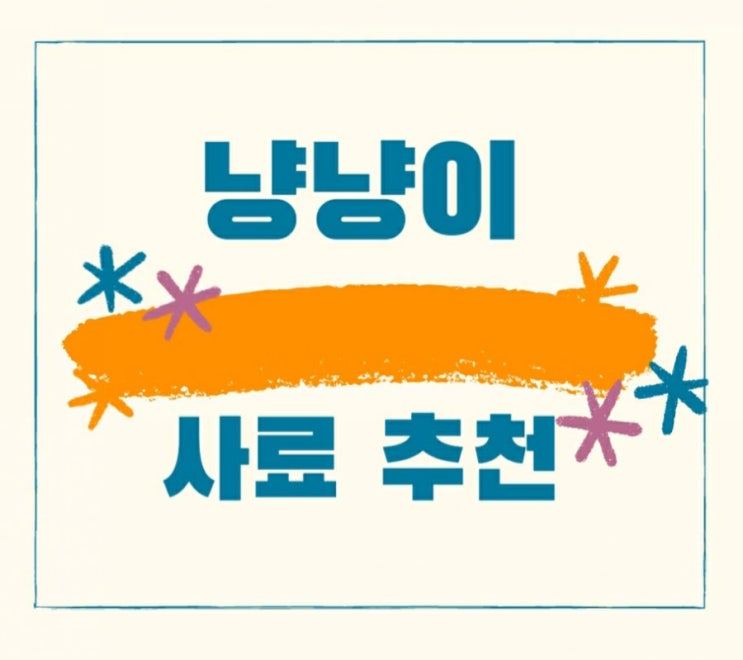  고양이 사료 추천 - 홀리스틱 사료/나인케어
